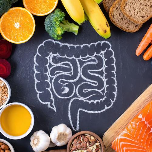 Gut Health Management (Food Sensitivities, Elimination Diets, SIBO Protocols) Image